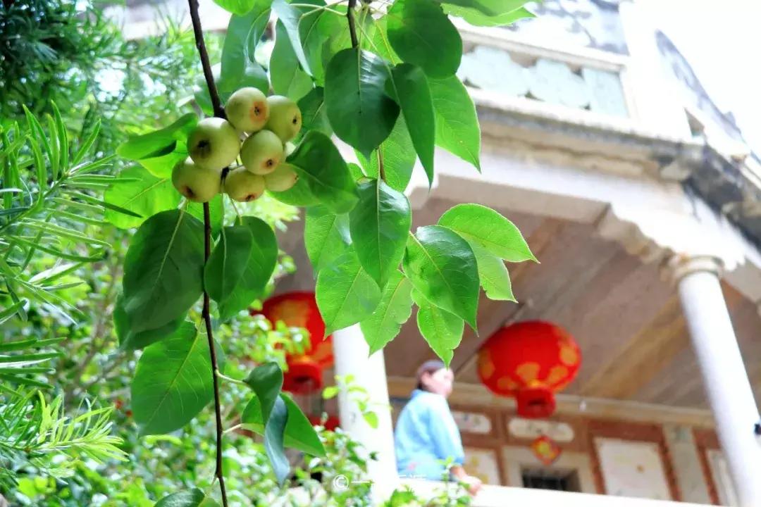 探大钱，起大厝，每个闽南人心中都有座南洋楼