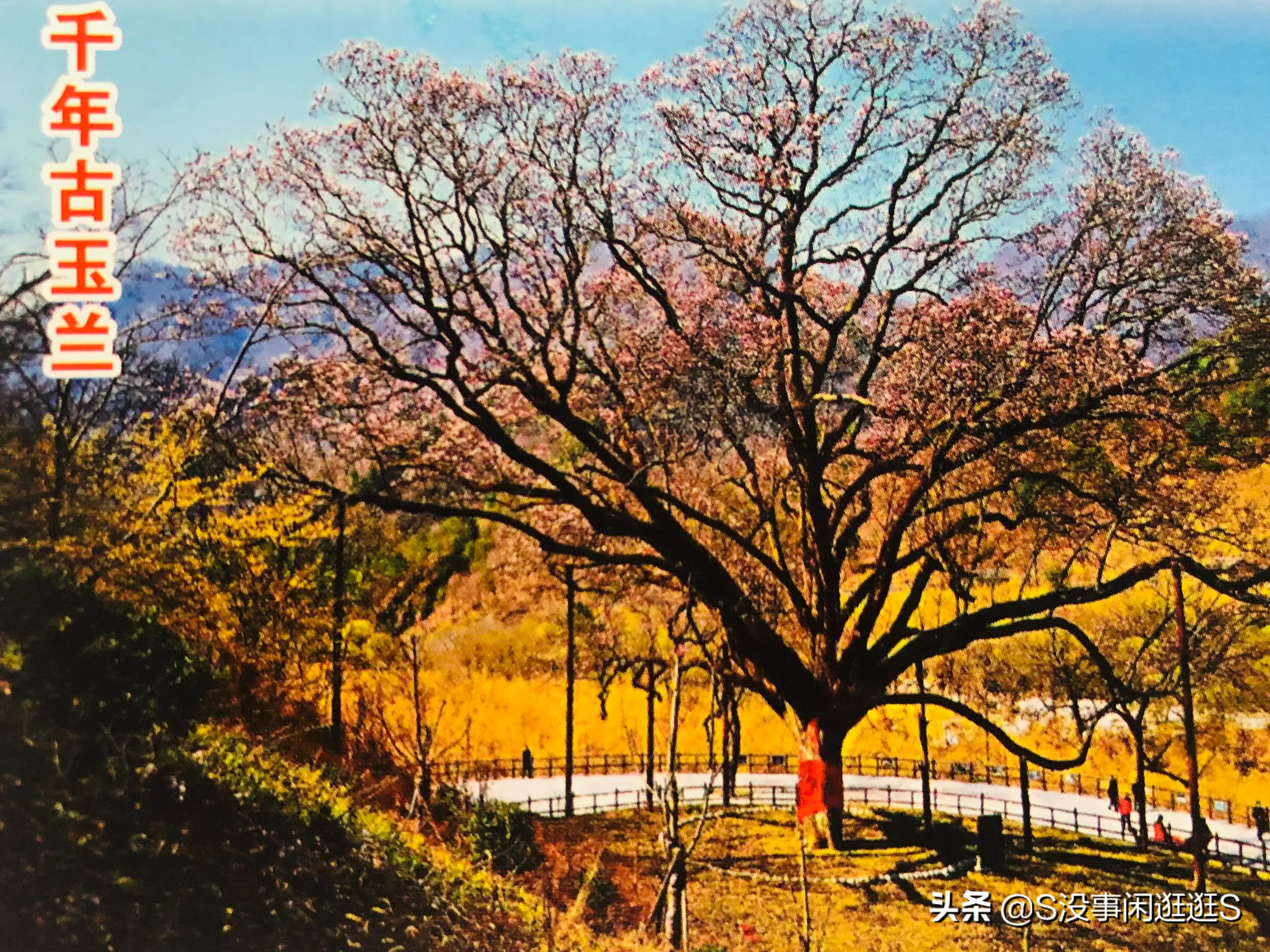 周至县老县城简介,周至县老县城的视频