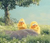 怎么在网上办理北京不动产登记,北京不动产登记网上查询平台