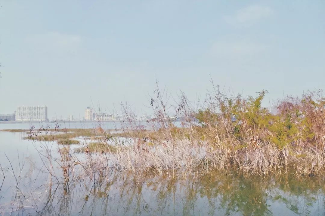 福永地方,这里是深圳宝安