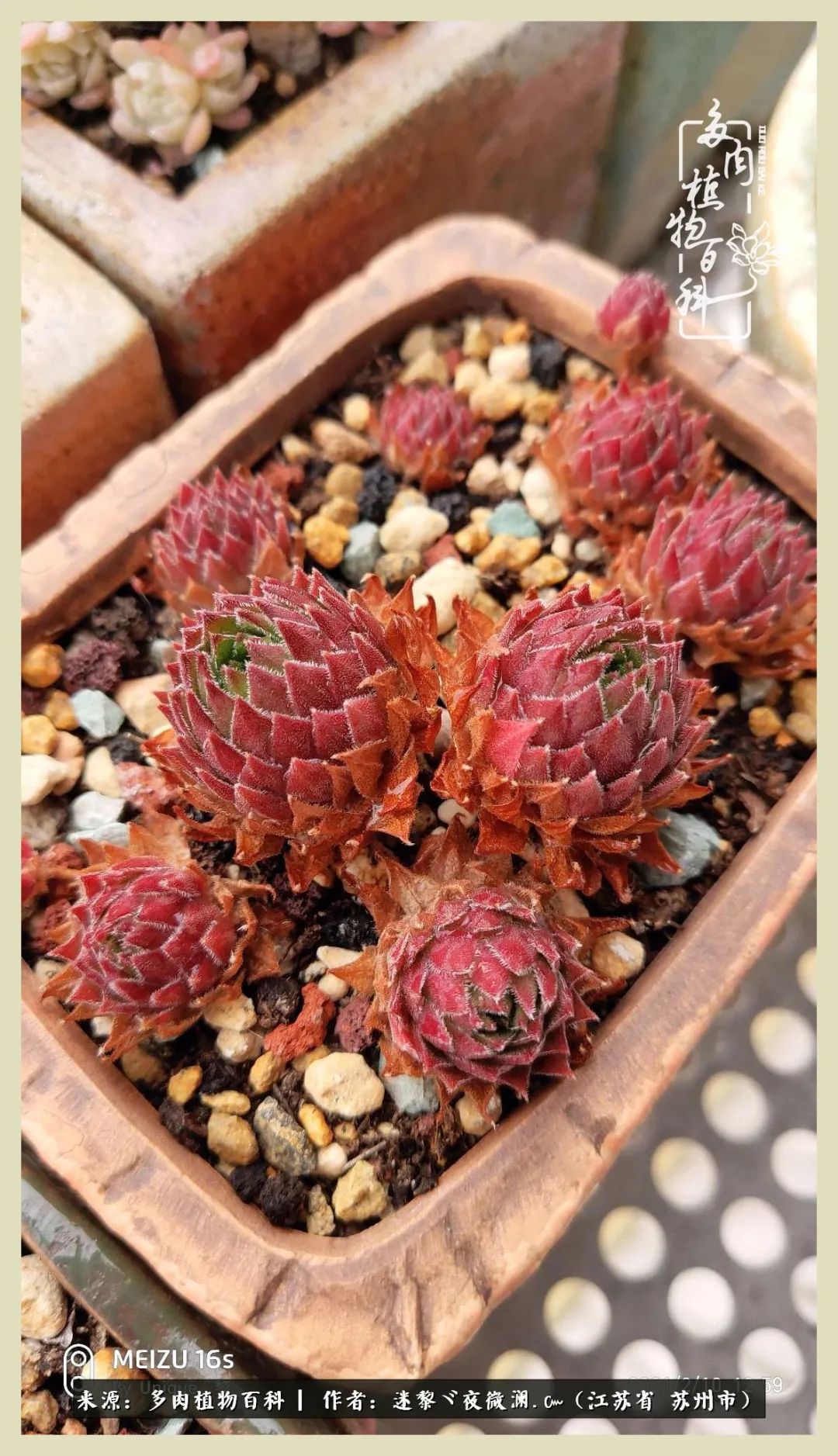 秋尽冬来岁月不居时节如流,岁月不居时节如流水