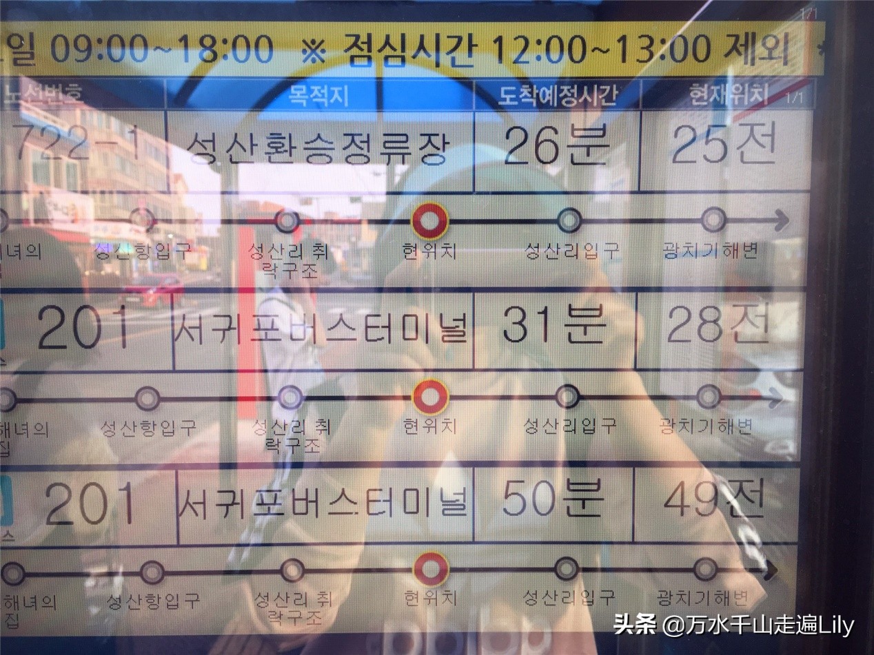 济州岛看韩国本土,济州岛看秋瓷炫