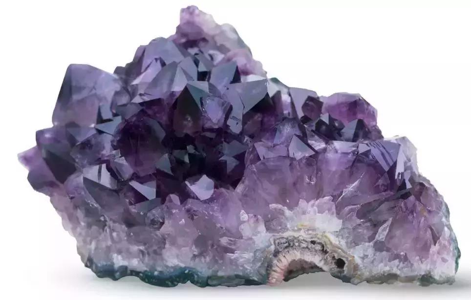 《DK博物大百科》上线啦！6.5折就可买到