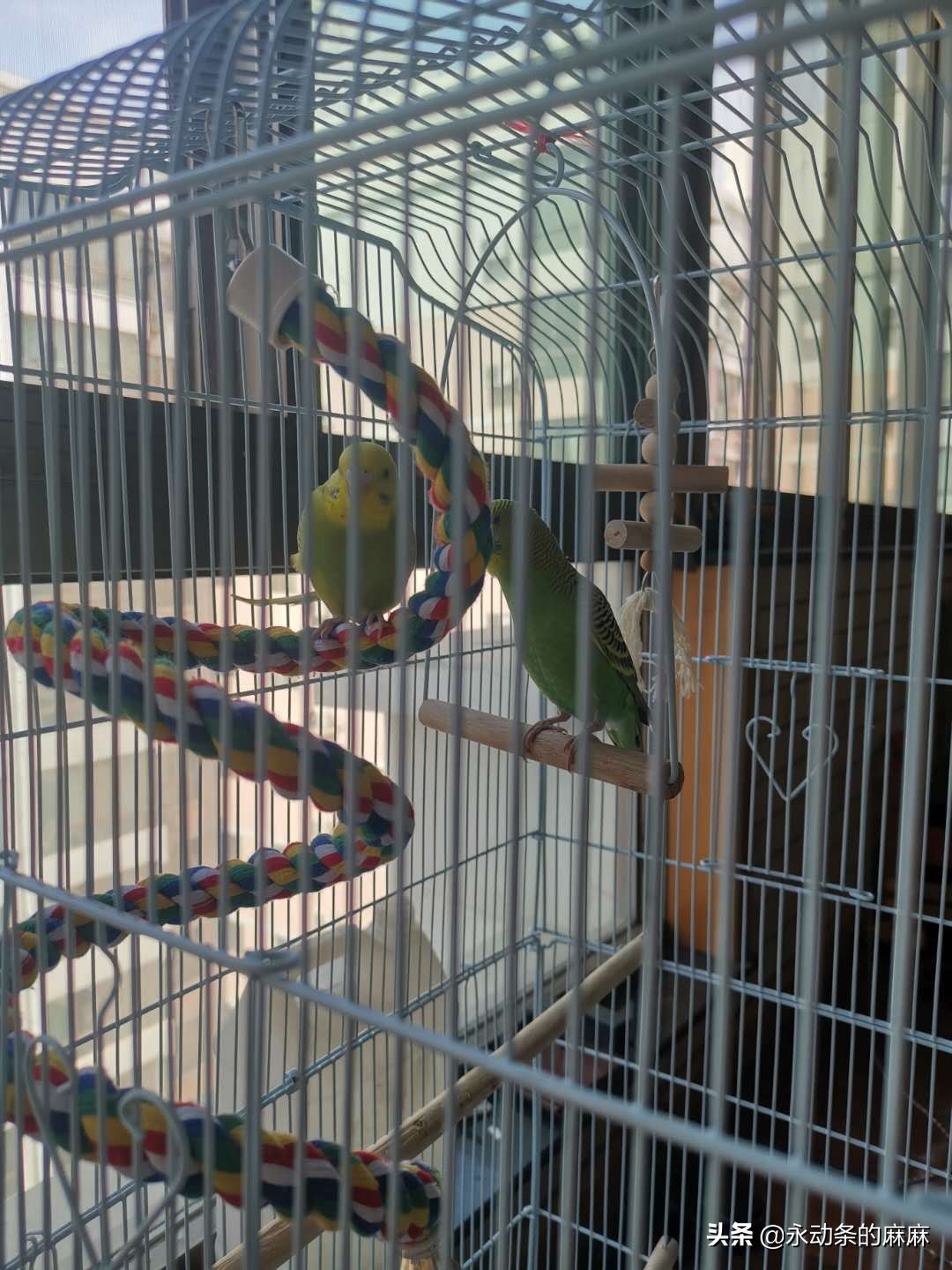 我吼了女儿怎么办,父母吼孩子孩子心里压力大怎么办