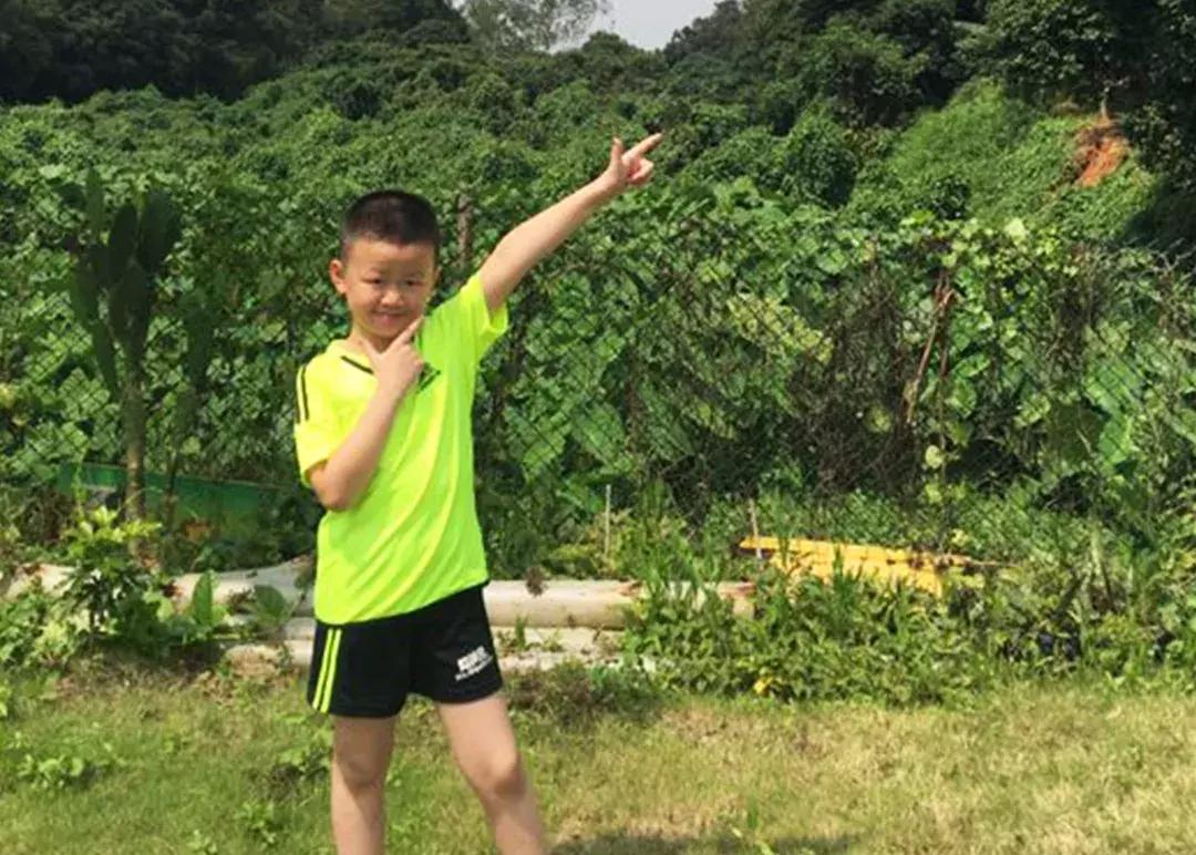 激情六月，燃动全城！2019九算之星评选厮杀正酣，就差你一票