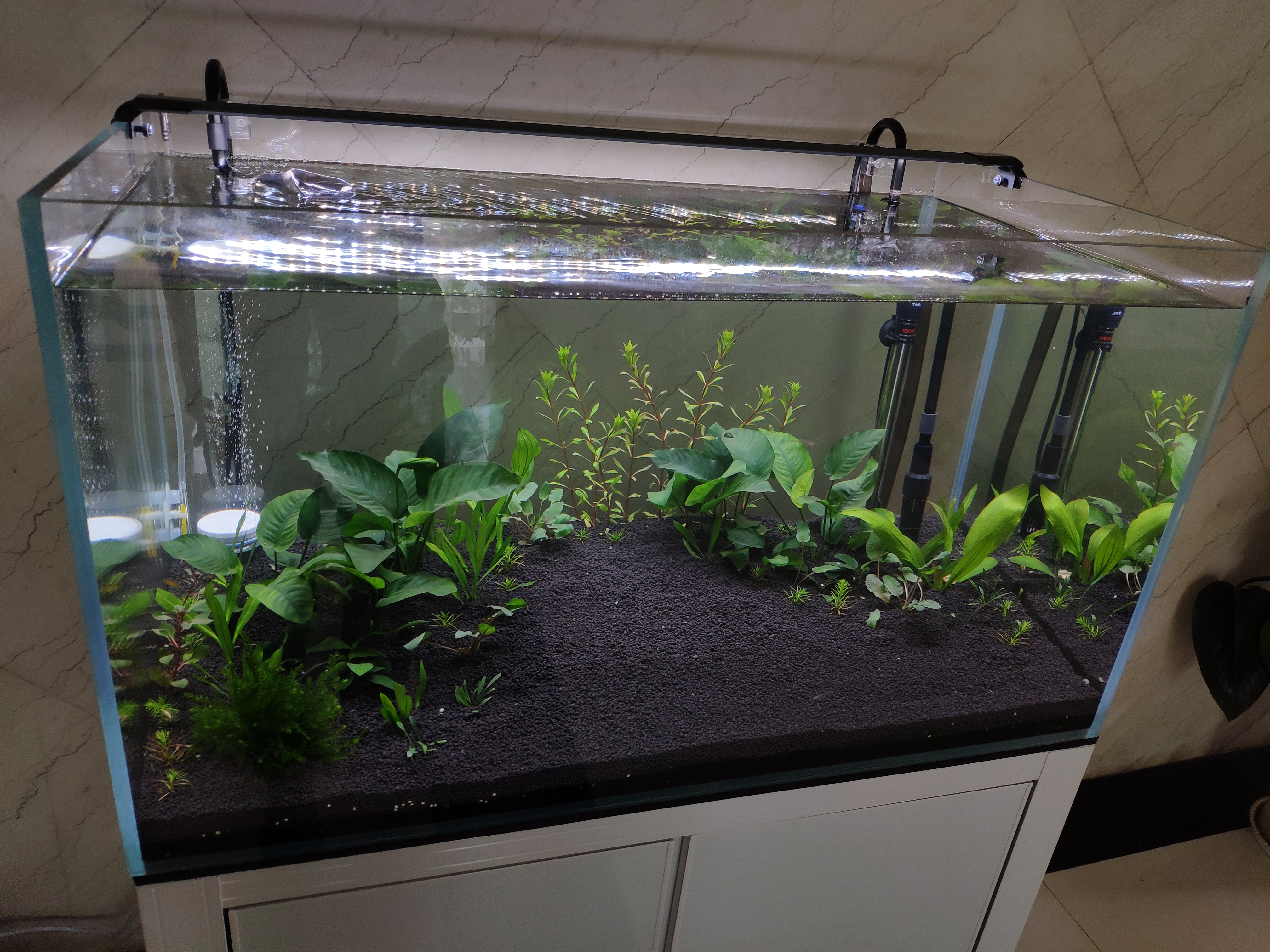 新水怎样建立硝化系统,养鱼的硝化系统