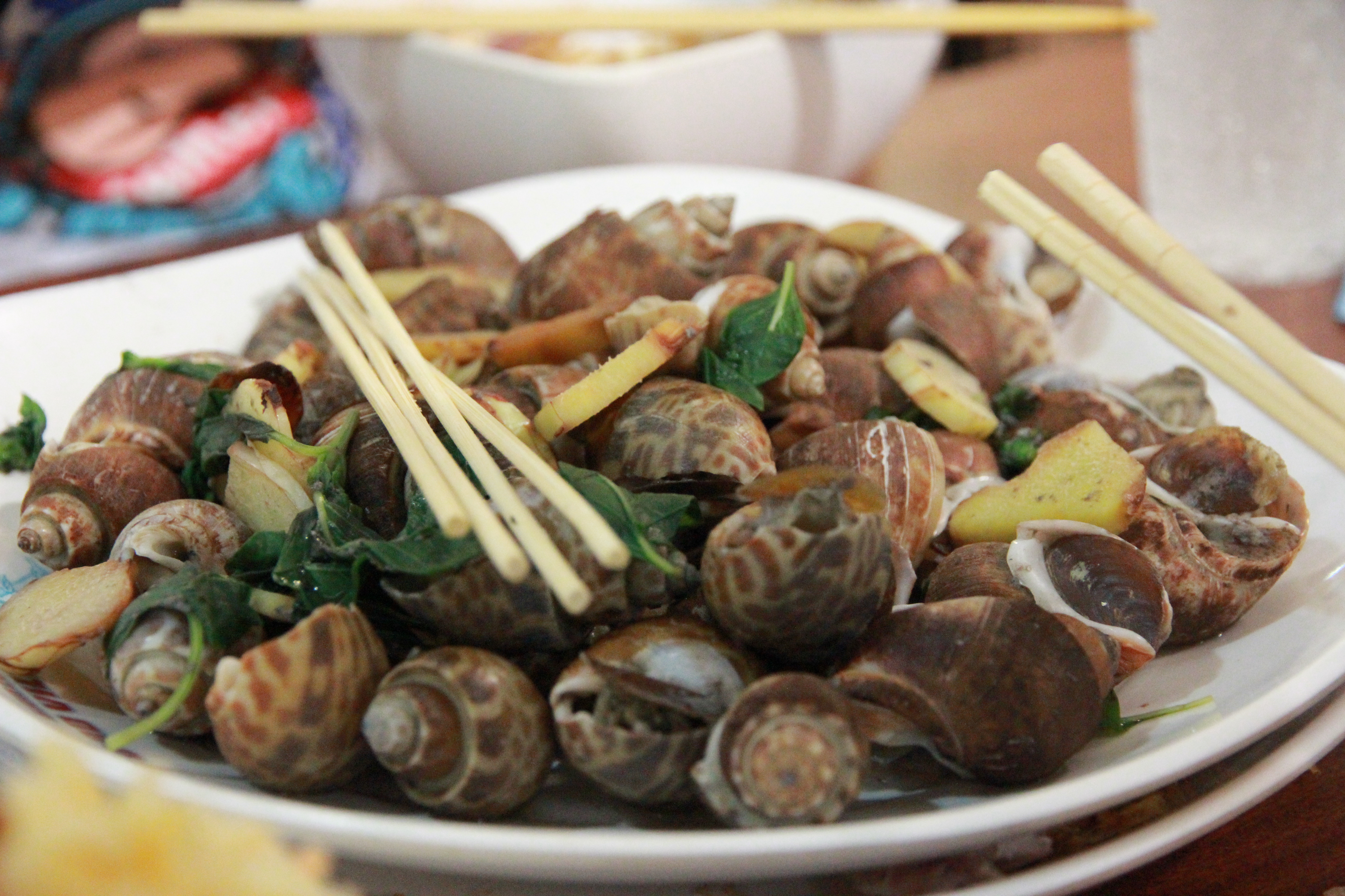 在普吉岛浮潜拍到的美妙海底世界 (普吉岛cape panwa hotel浮潜)