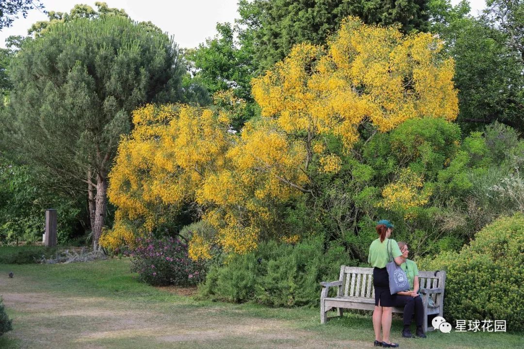 二木带你游花园|邱园（kewgarden）离我们到底有多远？