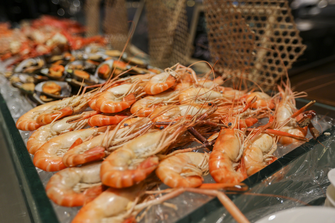 任性的重庆渝融豪生:坐落三轨之上,便捷扫街购物,允许携带宠物