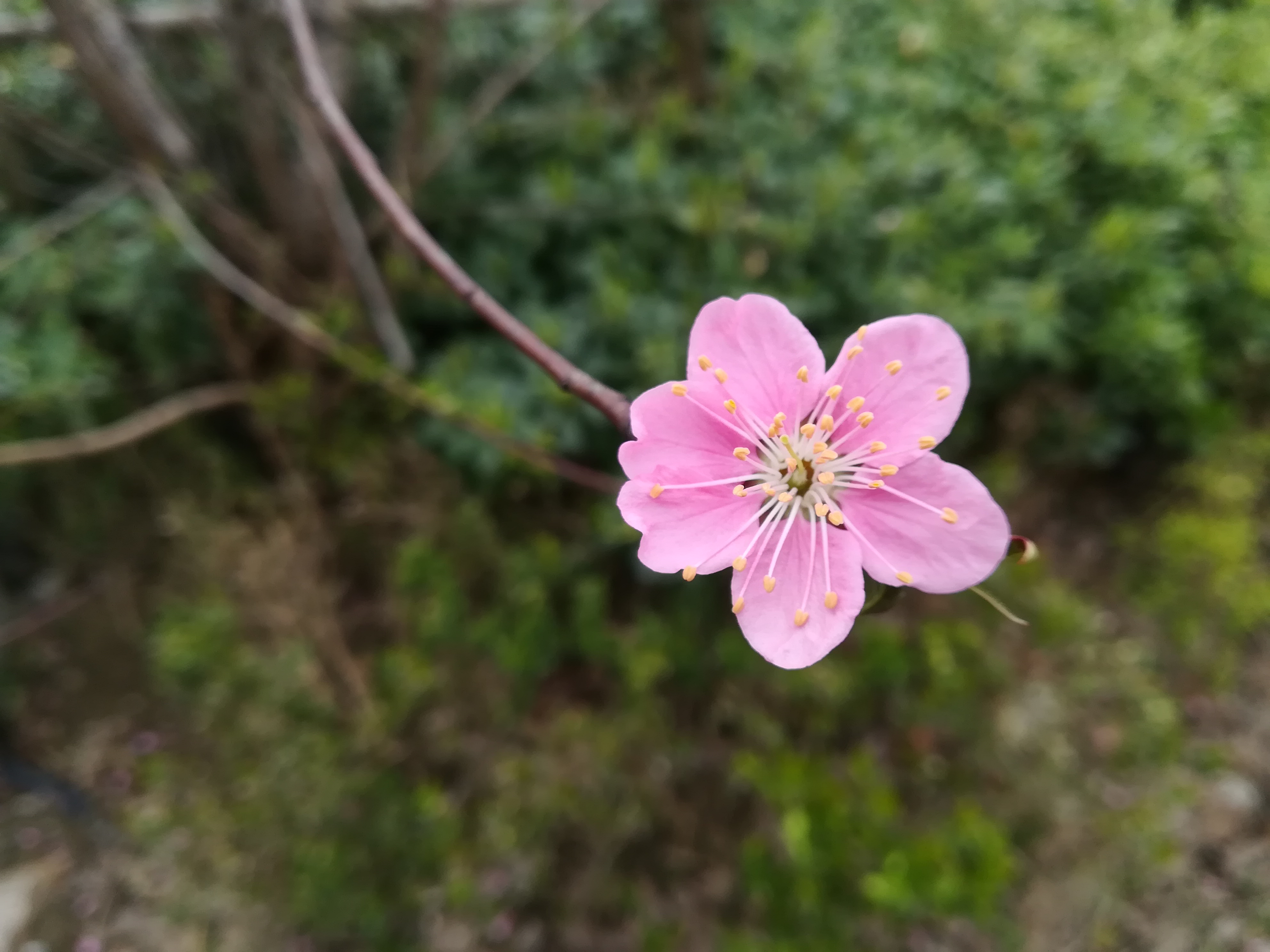 苏州越溪永旺梦乐城,苏州新区永旺梦乐城