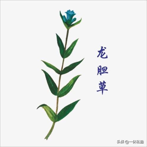 养血滋阴的茶有哪些,滋阴养血的茶都有什么呢