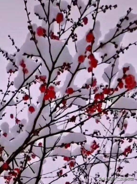 英语中形容天气用什么词,英语关于天气的名词和形容词用法