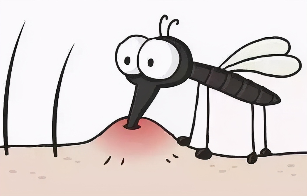 夏季如何防恙虫蜱虫,春夏蜱虫活跃防叮咬很重要