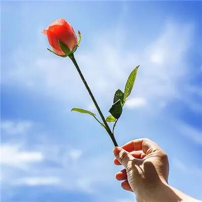 高效能人士的七个习惯书,高效能人士的七个习惯心得体会