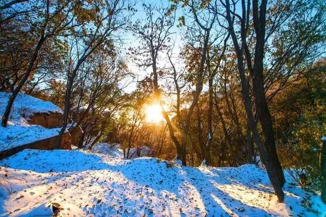 河南省春节旅游免门票景区 (春节河南6大景区半价)