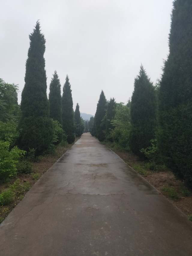 沂南雨雪天气,沂南天气晴