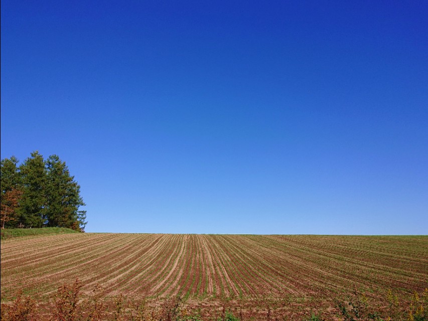 北海道登别到美瑛町需多久,日本北海道美瑛川的雪景