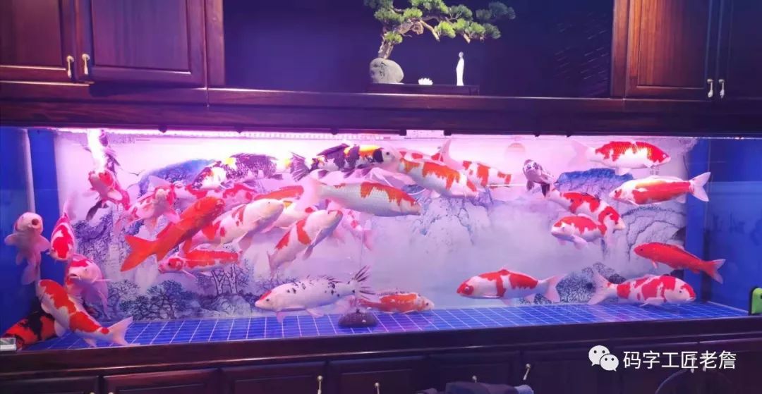 北京新发地花卉创意园,北京城南创意花卉园