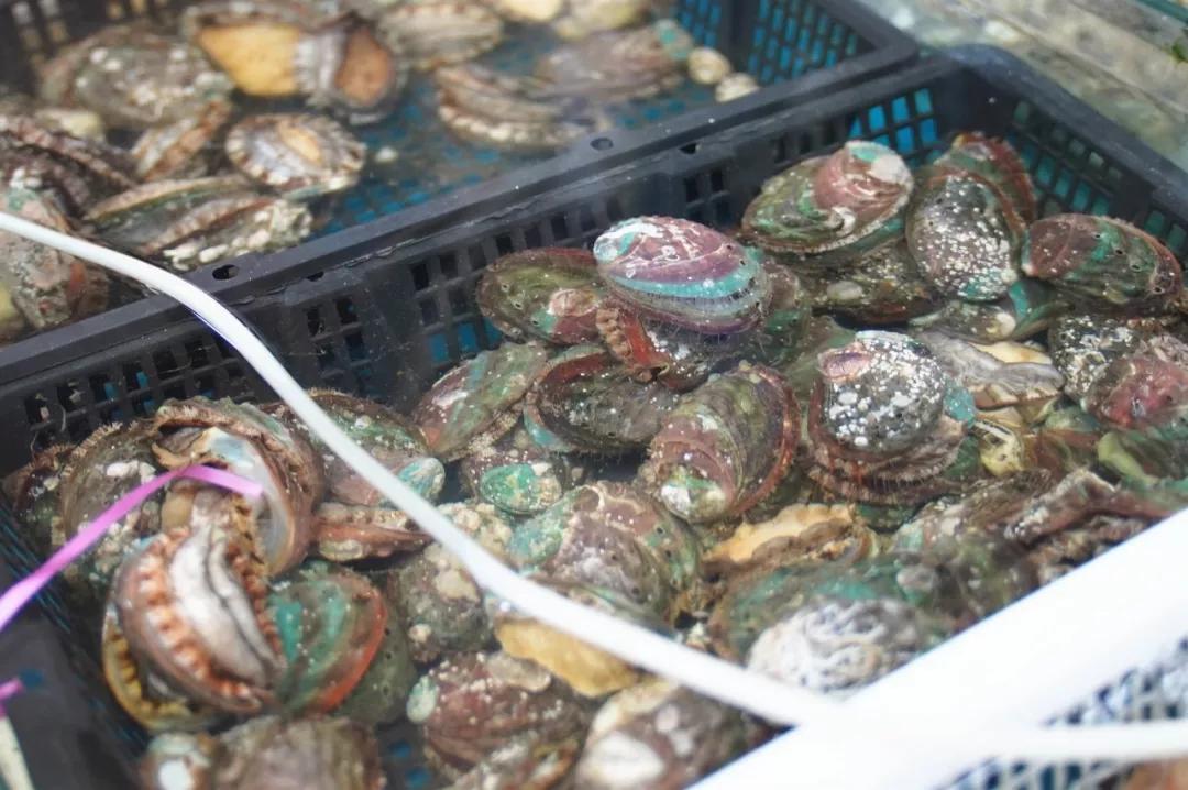 无锡市中心小巷美食攻略,无锡市中心吃的推荐