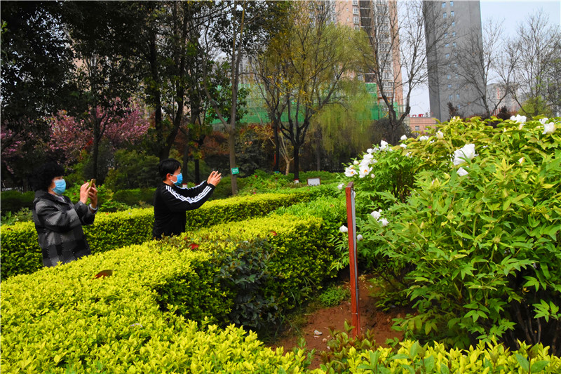 西安牡丹苑,西安牡丹苑小区