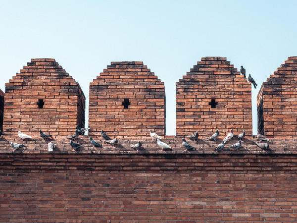 去清迈度假享受片刻的宁静,12月的清迈