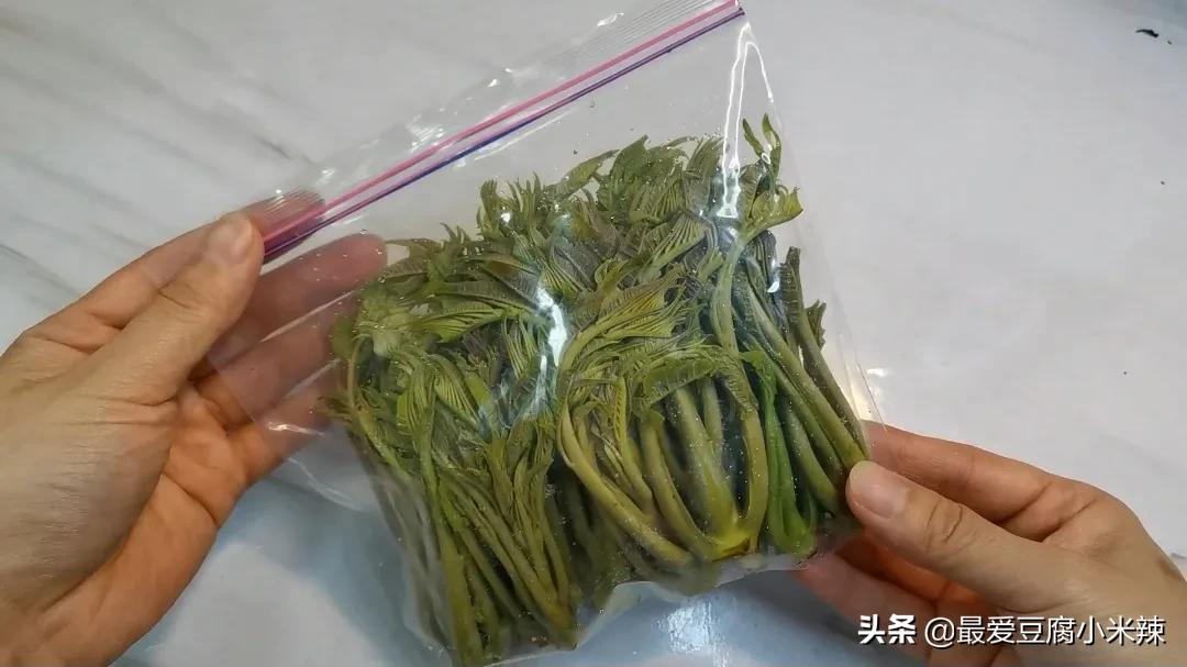 香椿芽怎么才能长期保存才新鲜,香椿芽一年四季都可以吃吗