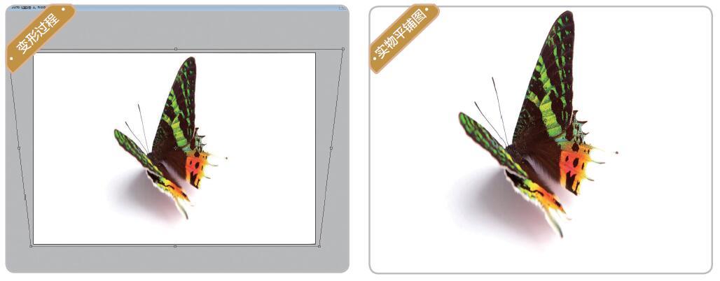 3d错觉画教程,3d错觉画作品