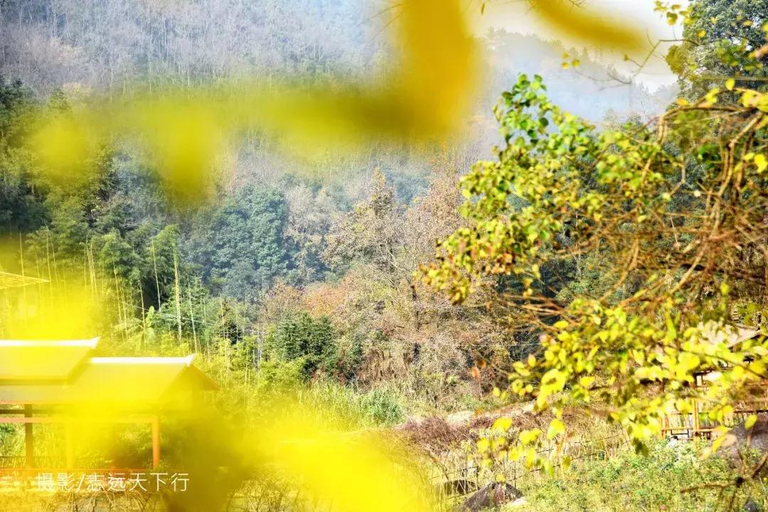 悠然三明：梅列瑞云山为佛，葡萄美酒配熏鸭