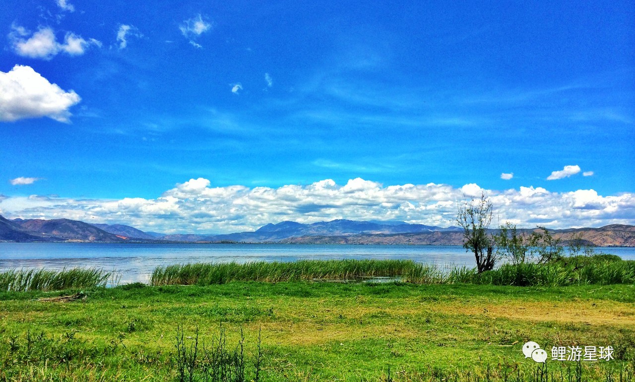 云南大理洱海网红景点打卡,云南大理好看的风景打卡处