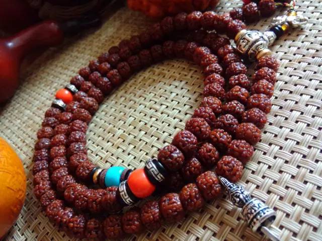 小金刚菩提鉴定视频,小金刚菩提的真假鉴别