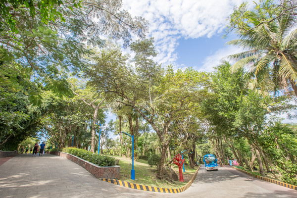 三亚烧钱项目,三亚最费钱的项目