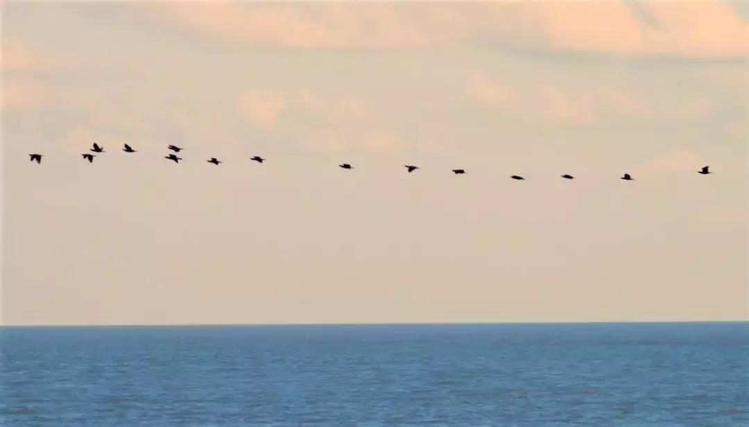 普陀山潮声视频,普陀山潮声滚滚完整版