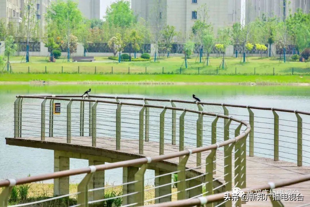 新郑美丽乡村规划图,建设美丽新郑市