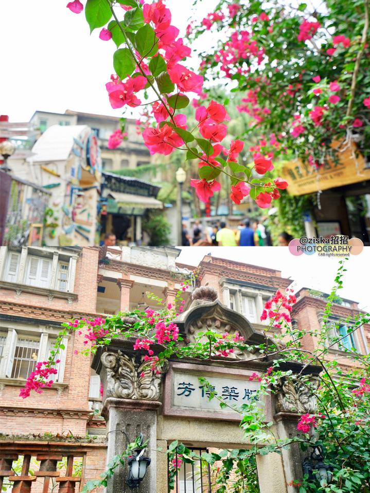 土豪是怎么旅行的,土豪怎么玩迪士尼