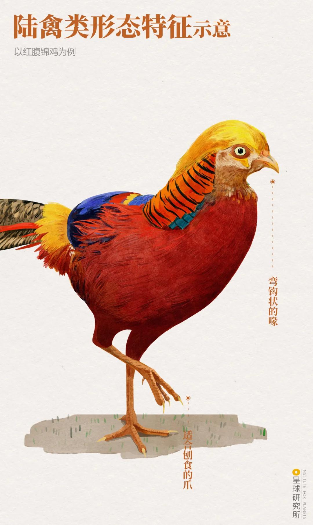 林草领域知识图谱,林草科普专业术语