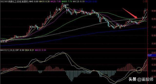 短线均线买卖点最准确的方法视频,一根均线精准买入法连抓498个涨停
