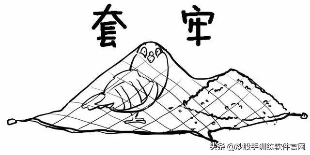 像乌龟一样趴着炒股,像麻雀一样的股票