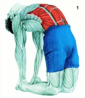 身体各部位拉筋的方法,最有效的拉筋简易动作