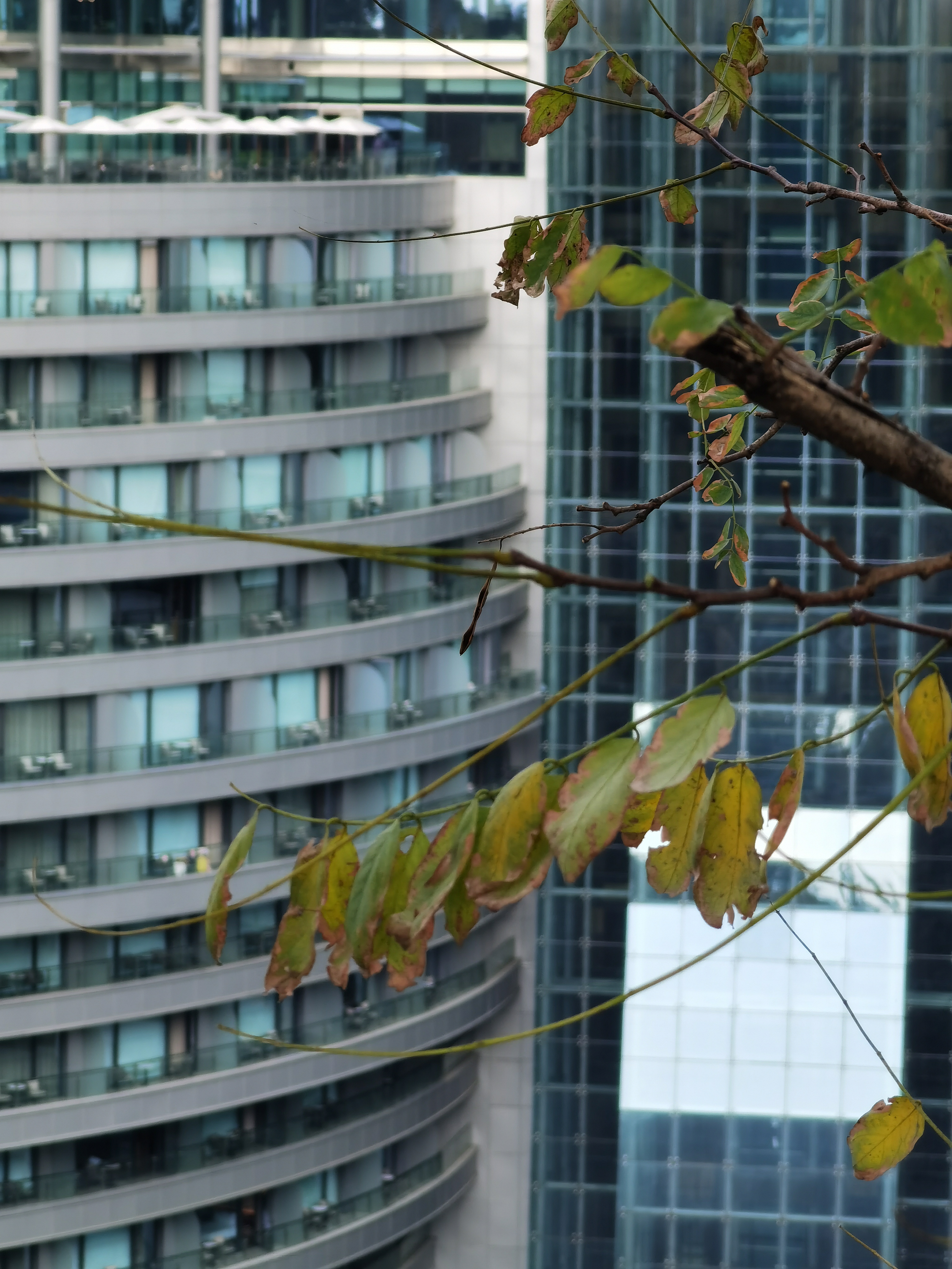 为什么深坑酒店被称为建筑奇迹,惊艳世界的深坑酒店