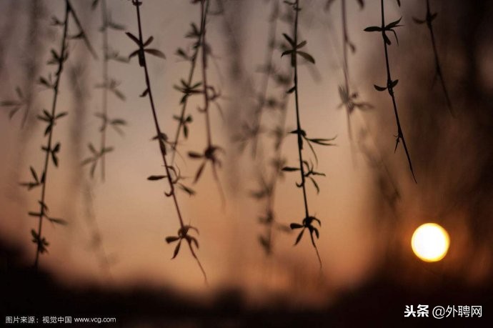 打工度假一年能赚多少钱,打工度假要多少钱