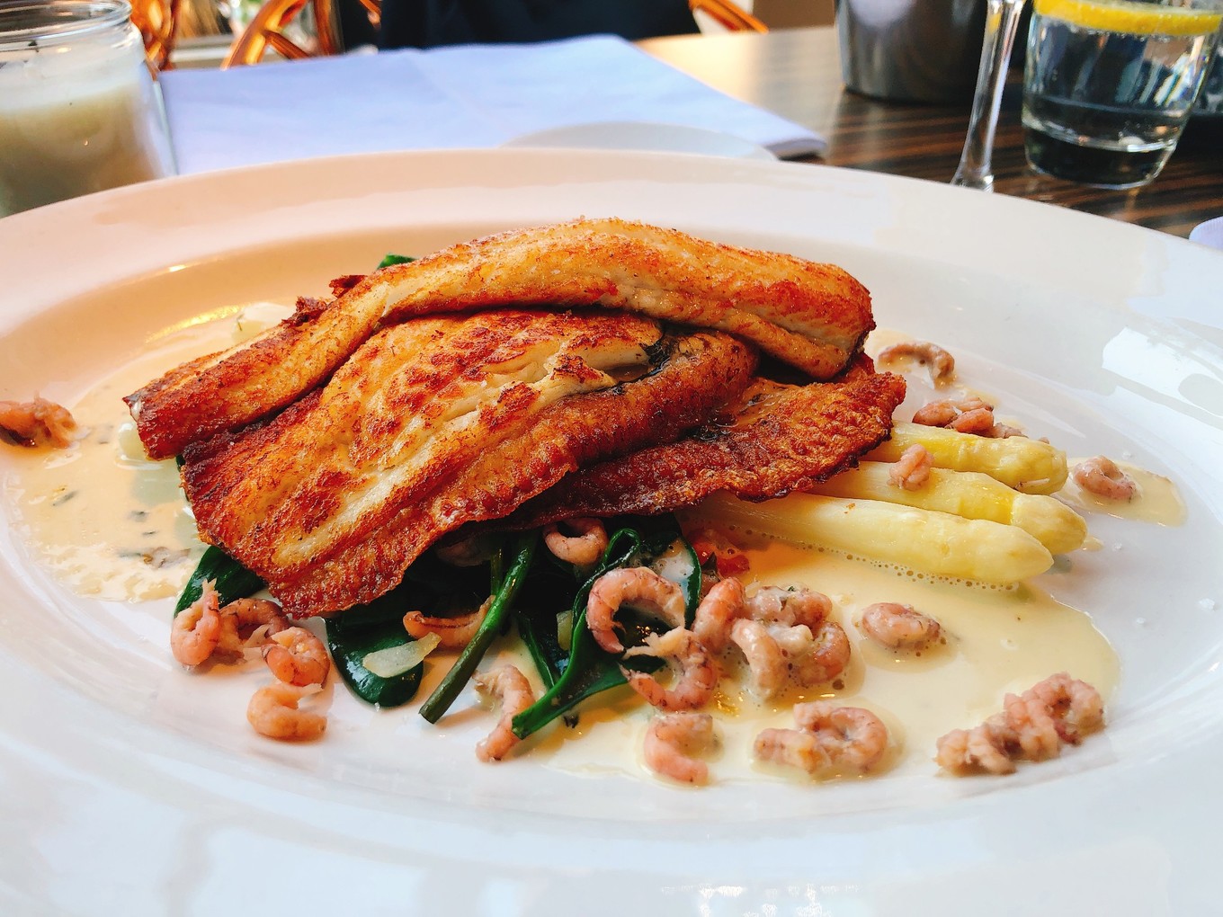 荷兰郁金香一日游攻略,荷兰郁金香旅游