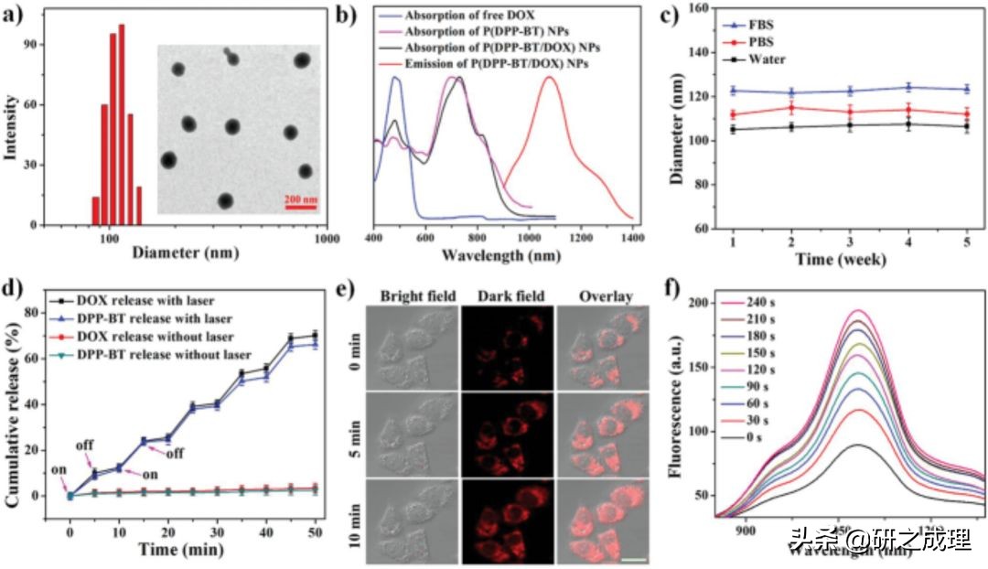 荧光探针肿瘤光动力治疗,荧光内窥镜治疗肿瘤