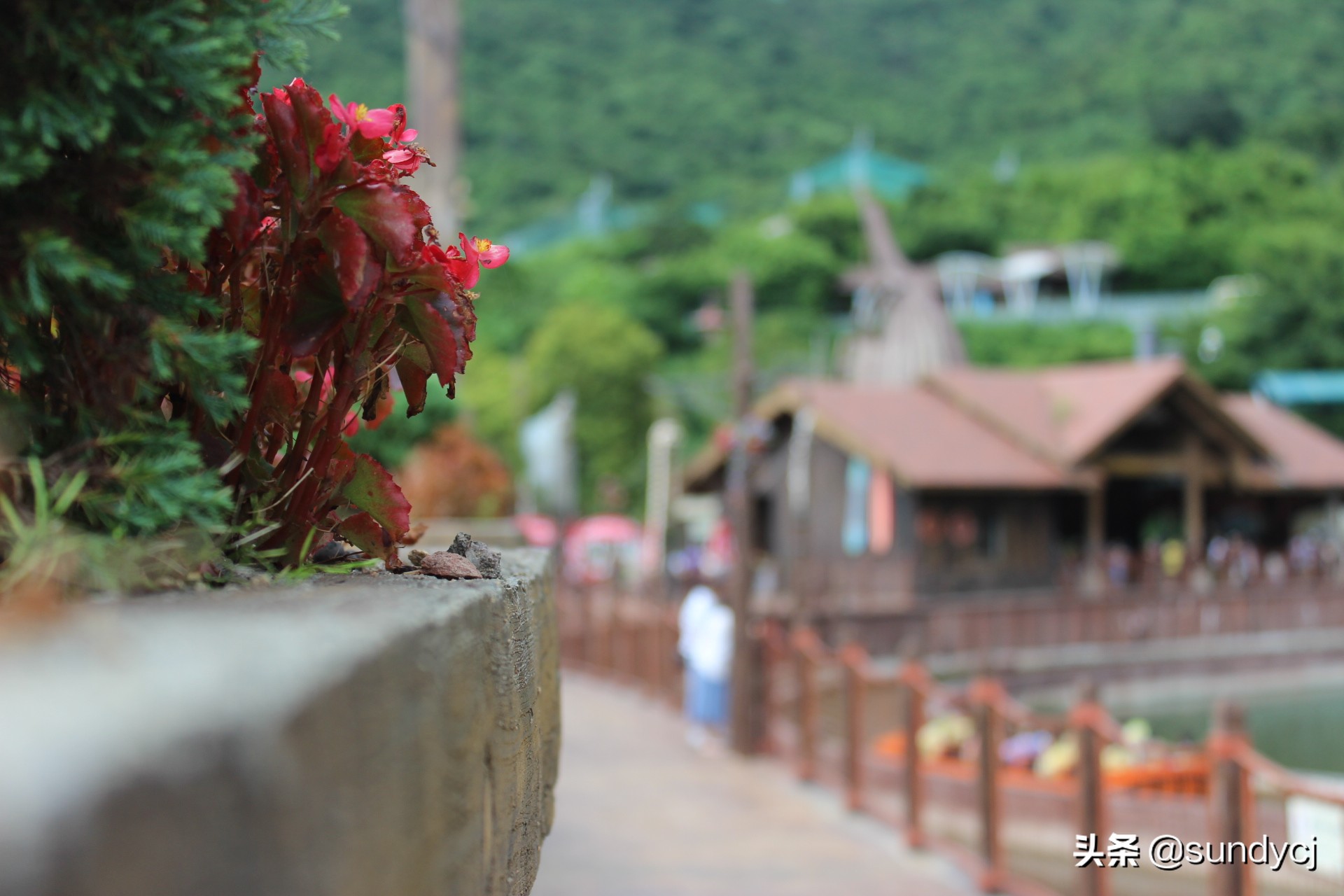 小奔奔,长安新能源奔奔自驾游西藏