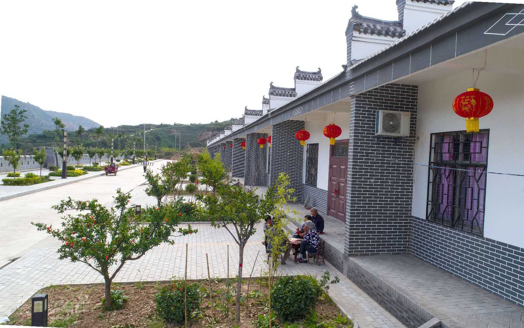 旬阳县助力乡村振兴,合阳县乡村振兴观摩