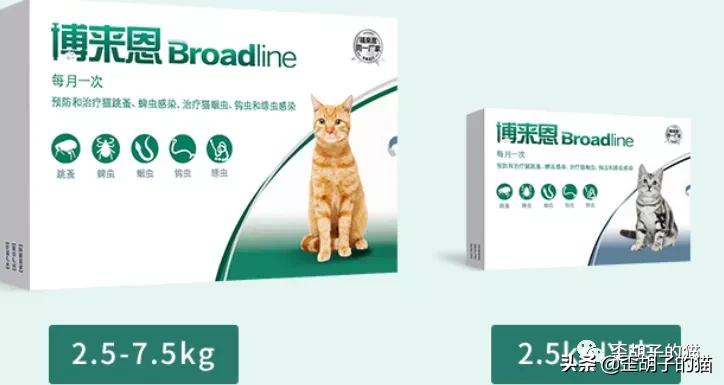 猫咪体外驱虫药哪个牌子好,驱虫最全的猫咪外驱