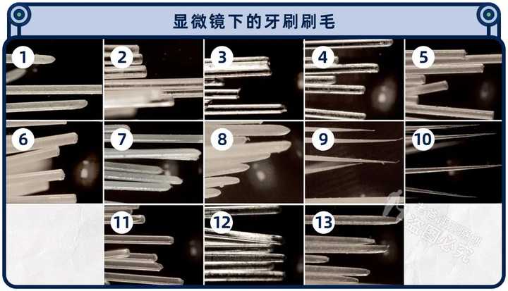 2021好用电动牙刷排行榜,2020最推荐的电动牙刷是哪一款