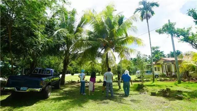 对帕劳之行的感悟,帕劳一场诗和远方的旅行