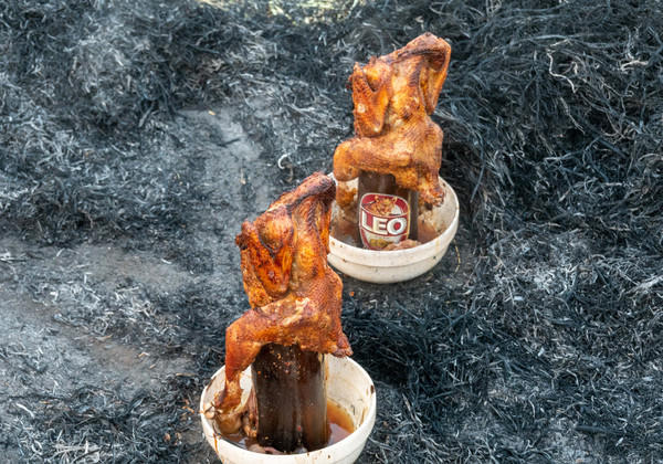 去清迈度假享受片刻的宁静,12月的清迈