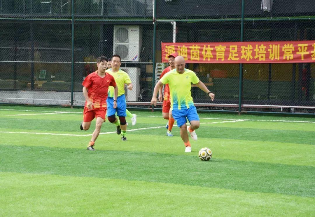 派迪茵体育直播,派迪茵体育训练套装