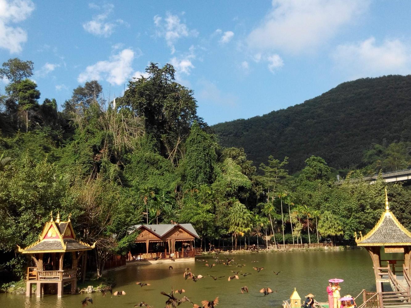 昆明西双版纳8天7夜单人游,昆明大理丽江西双版纳自由行攻略